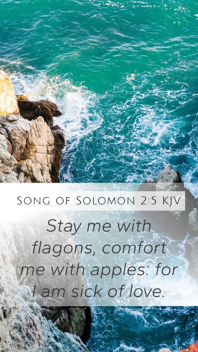 Song of Solomon 2:5 Explained