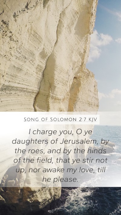 Song of Solomon 2:7 Explained