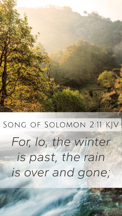 Song of Solomon 2:11 Explained