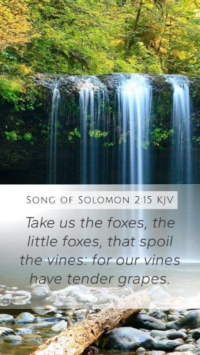 Song of Solomon 2:15 Explained