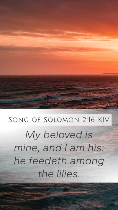 Song of Solomon 2:16 Explained