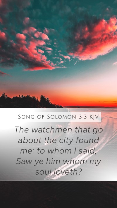 Song of Solomon 3:3 Explained