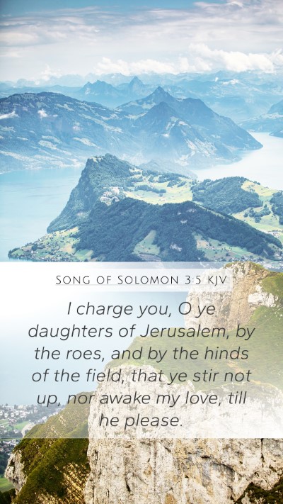 Song of Solomon 3:5 Explained