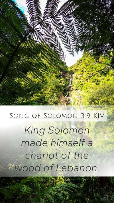 Song of Solomon 3:9 Explained