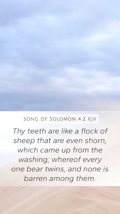 Song of Solomon 4:2 Explained