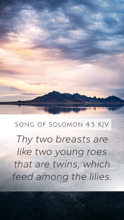 Song of Solomon 4:5 Explained