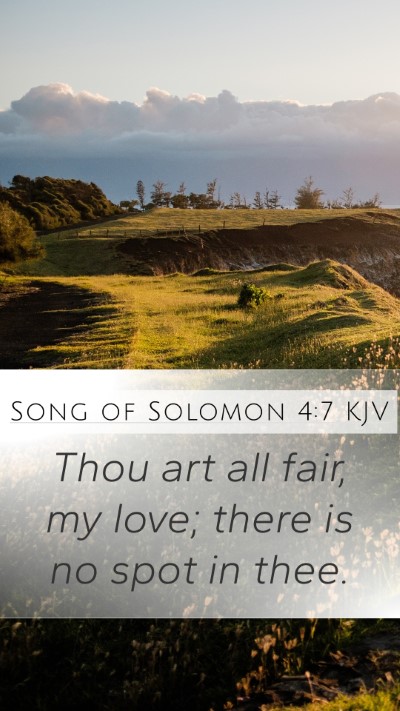 Song of Solomon 4:7 Explained