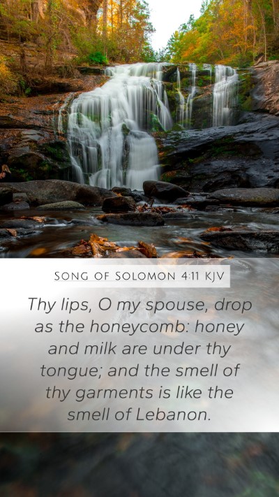 Song of Solomon 4:11 Explained