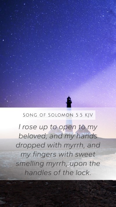 Song of Solomon 5:5 Explained