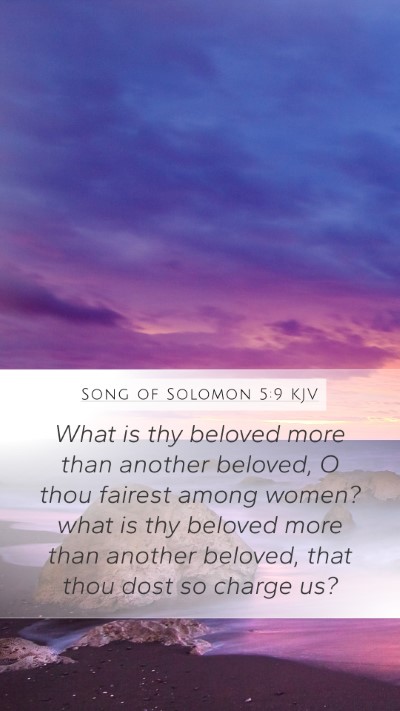 Song of Solomon 5:9 Explained