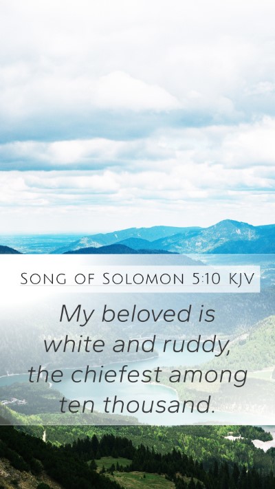 Song of Solomon 5:10 Explained