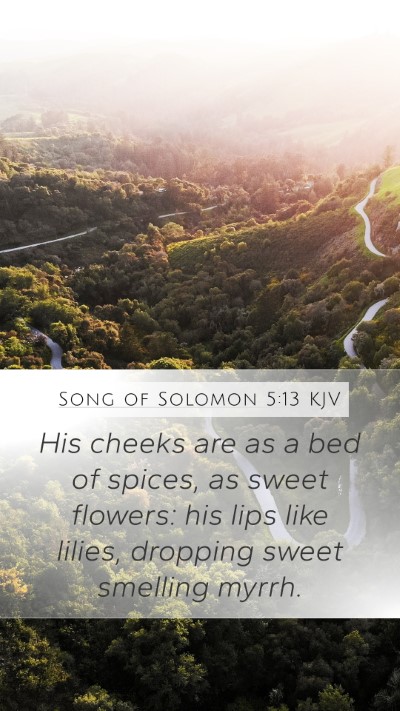 Song of Solomon 5:13 Explained