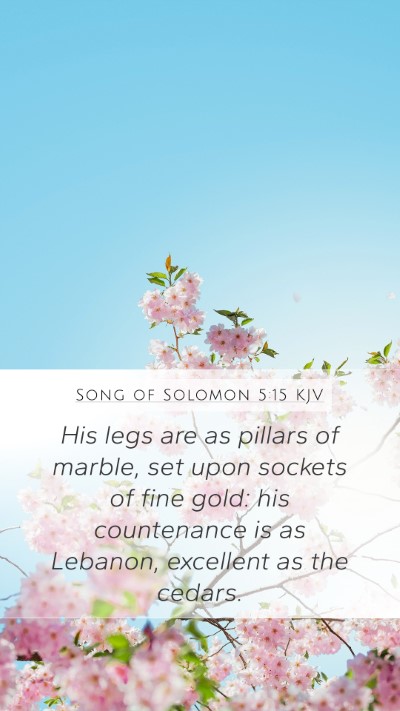 Song of Solomon 5:15 Explained