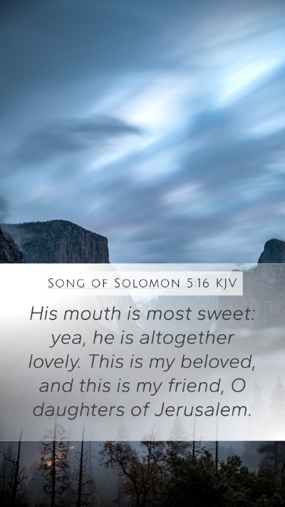 Song of Solomon 5:16 Explained