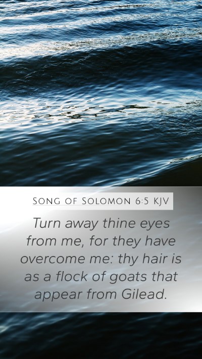 Song of Solomon 6:5 Explained