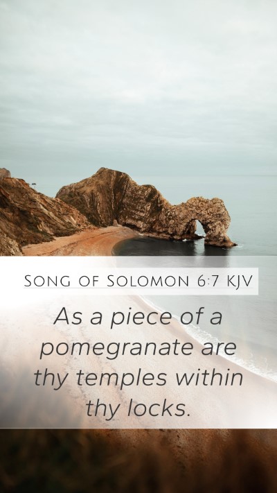 Song of Solomon 6:7 Explained