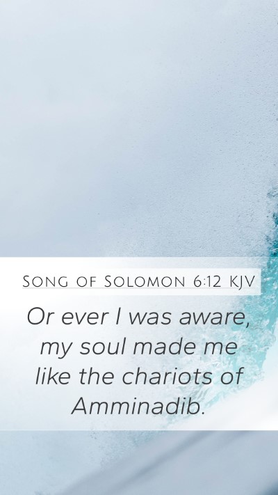 Song of Solomon 6:12 Explained