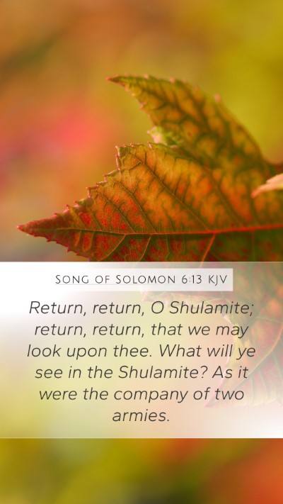 Song of Solomon 6:13 Explained