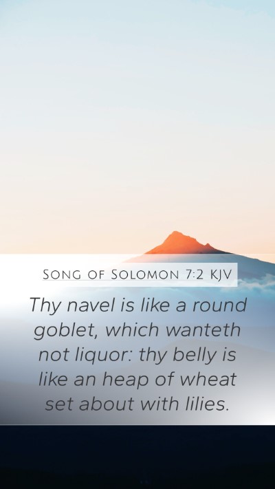 Song of Solomon 7:2 Explained