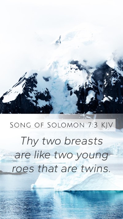 Song of Solomon 7:3 Explained