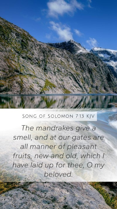 Song of Solomon 7:13 Explained