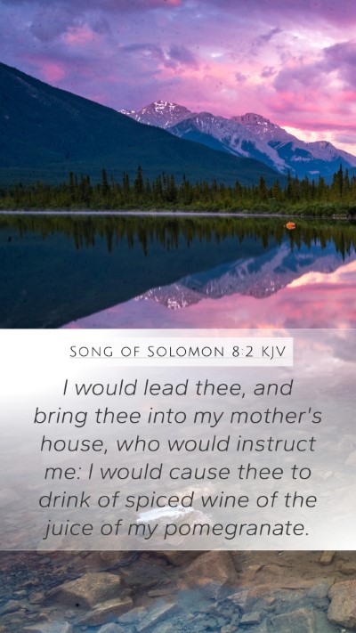 Song of Solomon 8:2 Explained