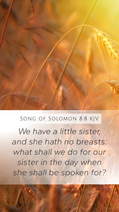 Song of Solomon 8:8 Explained