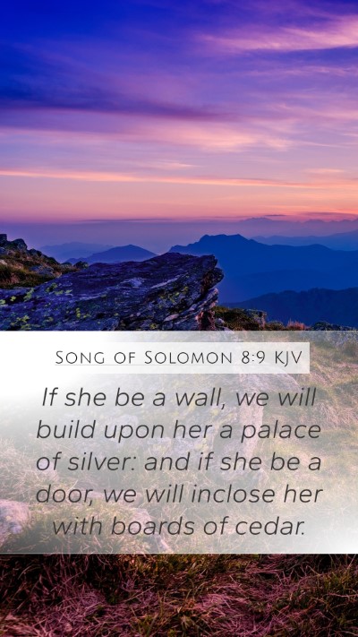 Song of Solomon 8:9 Explained