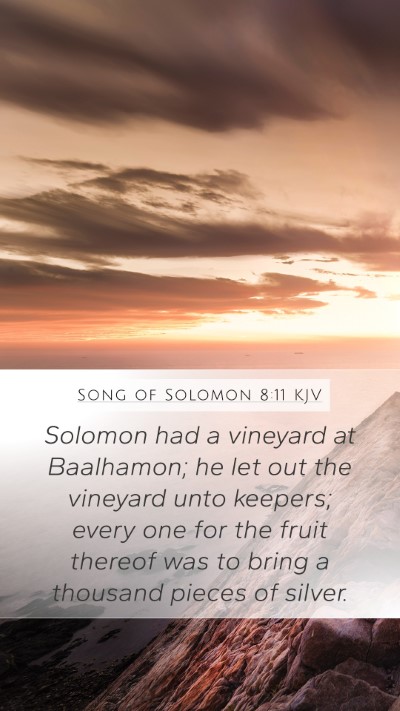 Song of Solomon 8:11 Explained