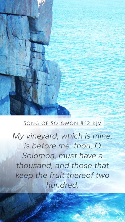 Song of Solomon 8:12 Explained