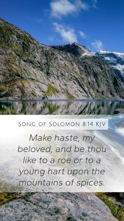 Song of Solomon 8:14 Explained