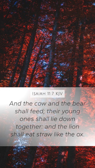 Isaiah 11:7 Explained