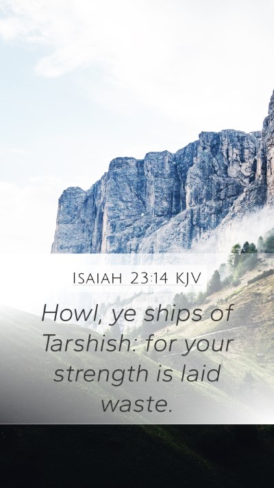 Isaiah 23:14 Explained