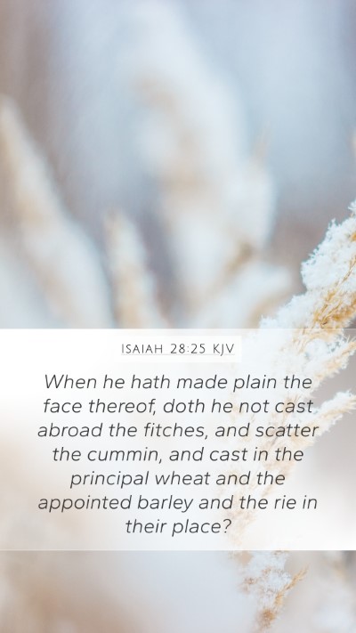 Isaiah 28:25 Explained