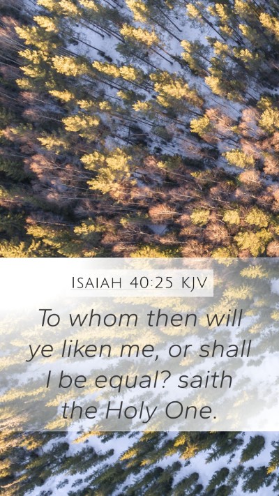 Isaiah 40:25 Explained