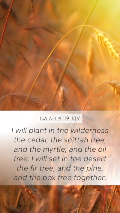 Isaiah 41:19 Explained