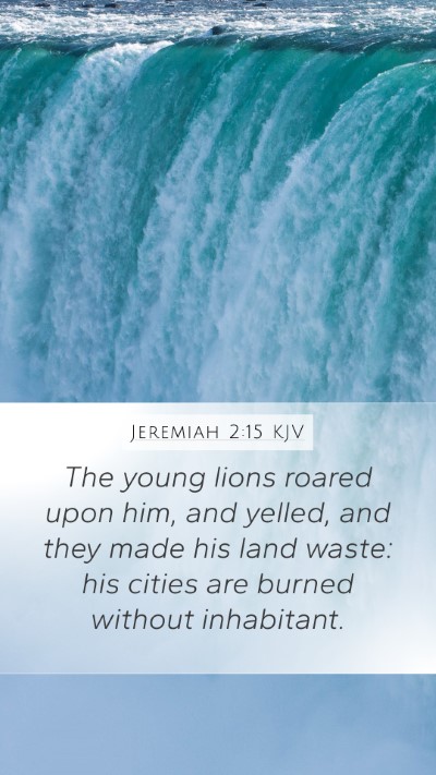 Jeremiah 2:15 Explained