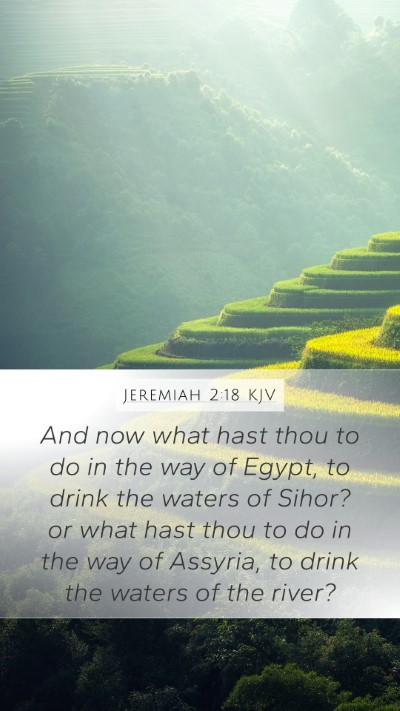 Jeremiah 2:18 Explained