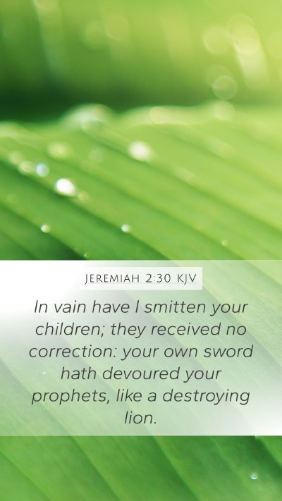 Jeremiah 2:30 Explained