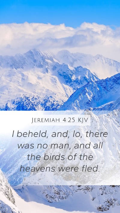 Jeremiah 4:25 Explained