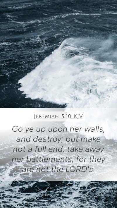 Jeremiah 5:10 Explained