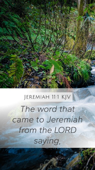 Jeremiah 11:1 Explained