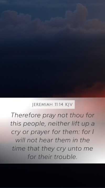 Jeremiah 11:14 Explained