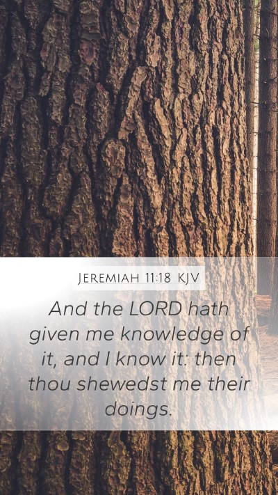 Jeremiah 11:18 Explained