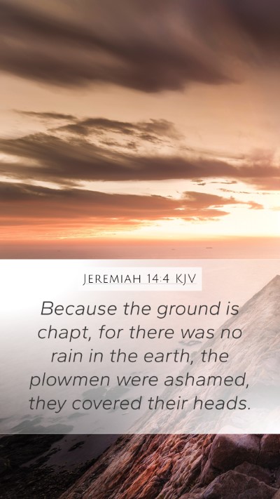 Jeremiah 14:4 Explained