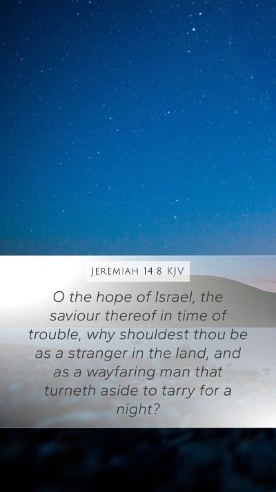 Jeremiah 14:8 Explained