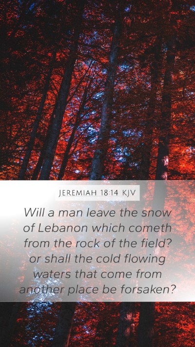 Jeremiah 18:14 Explained