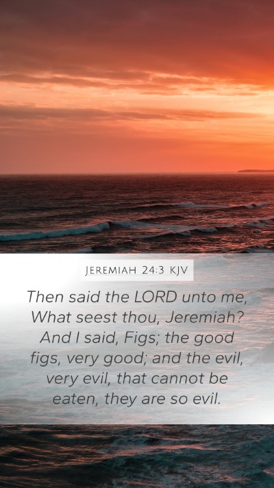 Jeremiah 24:3 Explained