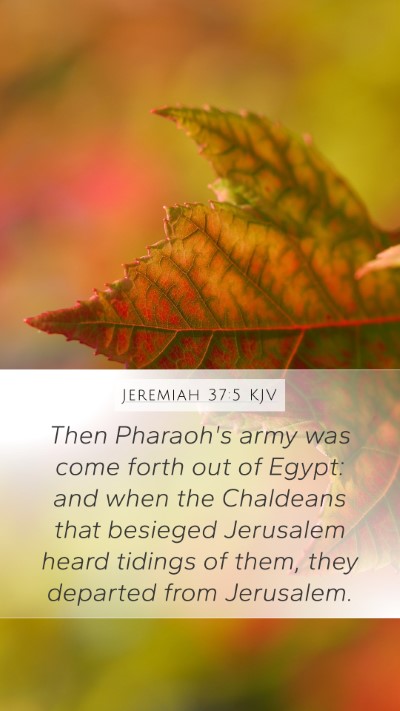 Jeremiah 37:5 Explained