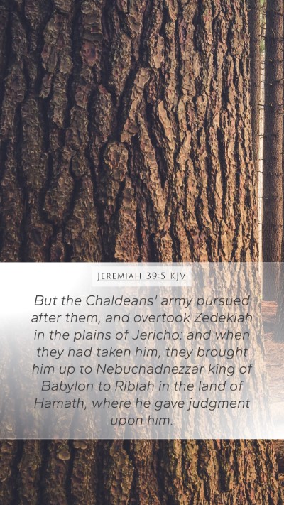 Jeremiah 39:5 Explained